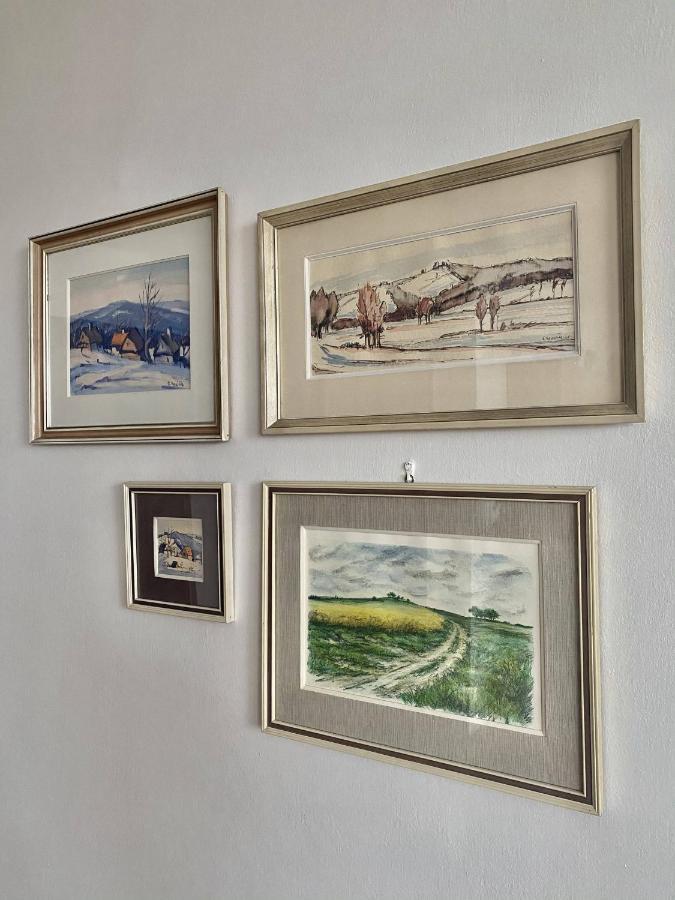 Prazdninovy Dum Holubka Villa Nove Mesto na Morave Eksteriør billede